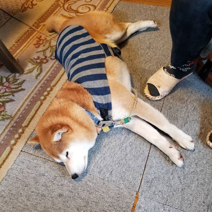 62983360 0b92 4d52 aa6e e3398ba06f63 1576193273333