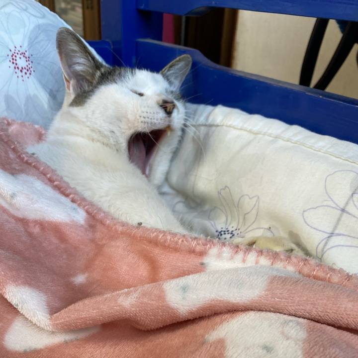 62985c8b 2fed 475c b9df bb54c7a0d283 1674398155343