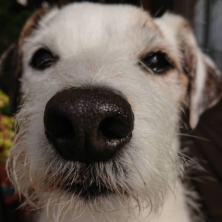 62987068 f36d 4368 b863 48daf733697d 1524438976138