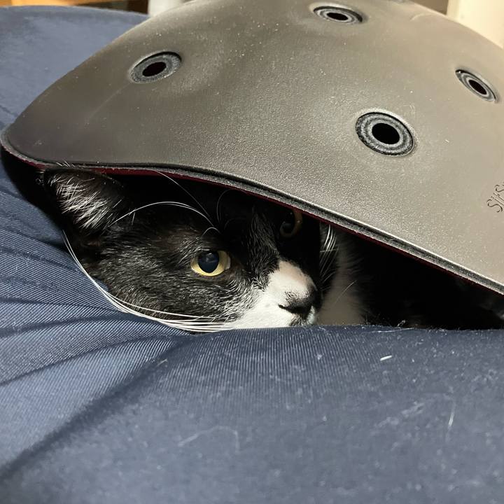 62989b59 8738 414e b387 7bd80aaba319 1669260712270