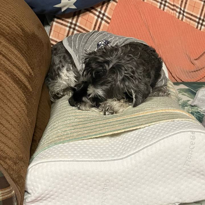 6298a9c3 a9a3 4d31 bb58 4671ea4625b3 1733493484598