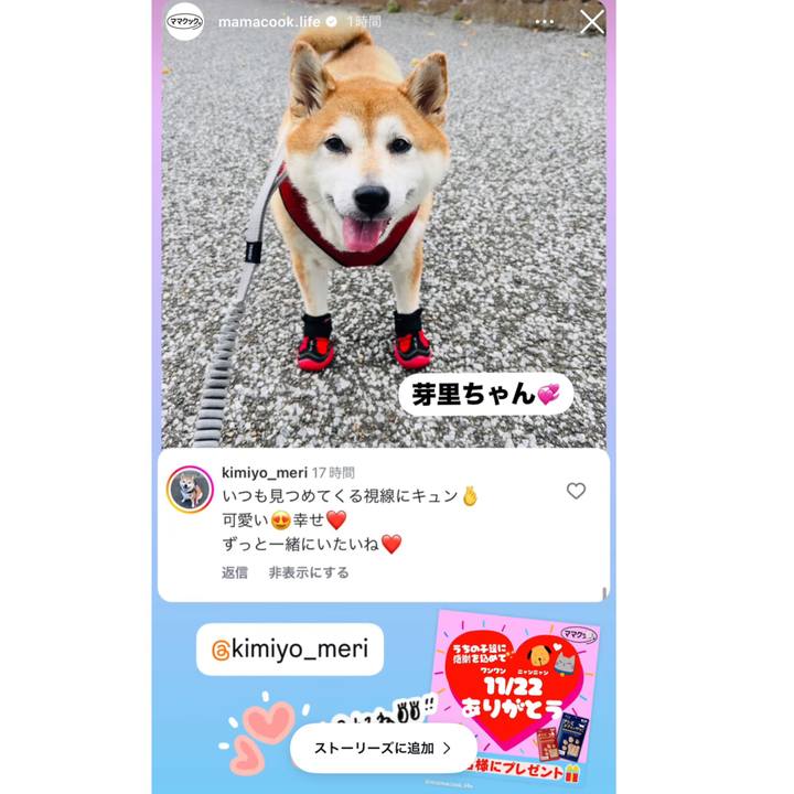 6298ca16 82a3 4d66 96a6 25bc839582ee 1732080174775