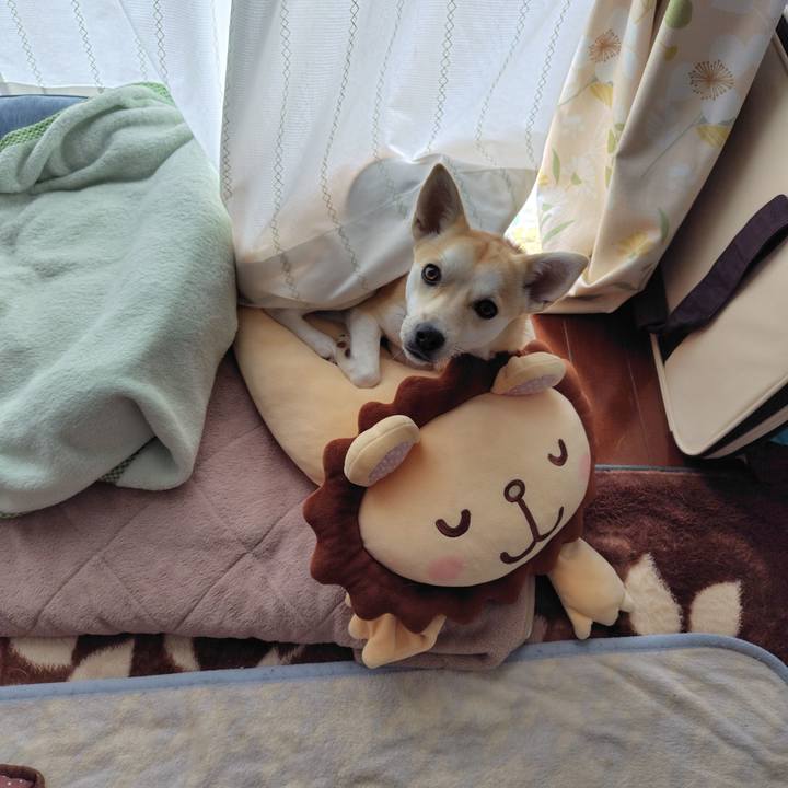 6298d4e9 380f 4405 b3b9 7fd0ce0fa93b 1765853326836