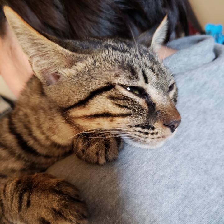 62993363 7ffd 4e14 a4fd c57572e50a66 1542090434192