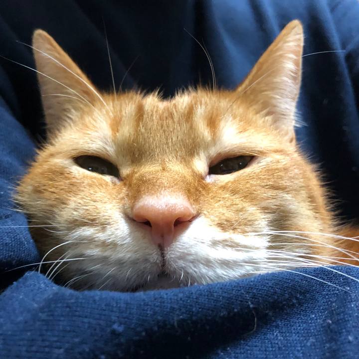 62994976 5291 403b 9e9b ba9a62752be9 1734252330254