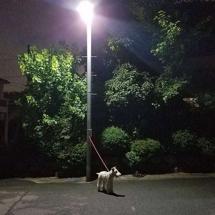 62995cc4 1a29 421c af52 40515c2656fd 1562939575887