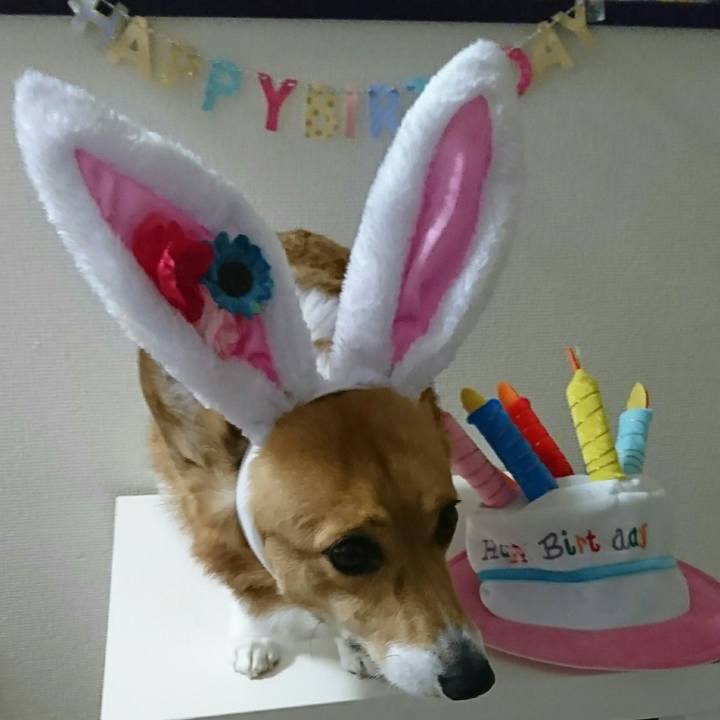 62995cd4 2f4b 4897 81dc ef1e29c91aa8 1551695405916