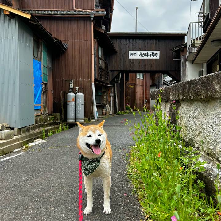 629991c0 0e7f 411b b23f 35f7010c5604 1715771103124