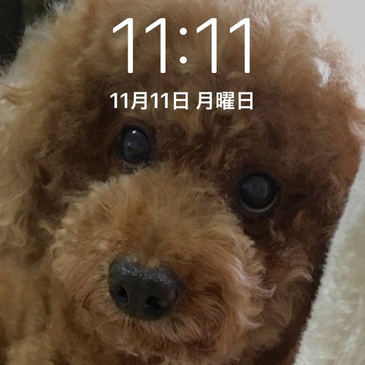 629994a0 e724 450b b783 1bad618f0144 1573483223598