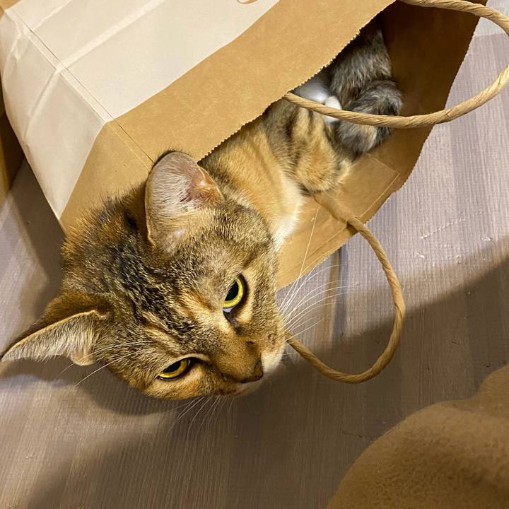 62999aff b399 4433 ba4e 4524e41f290d 1612532802284