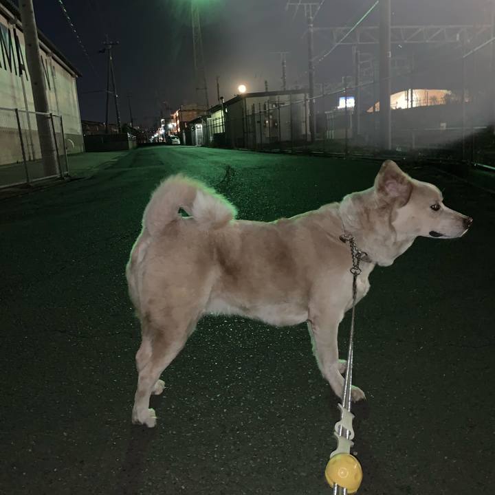 6299eab1 310e 45e9 9dcc 3529e38ba800 1550678013921