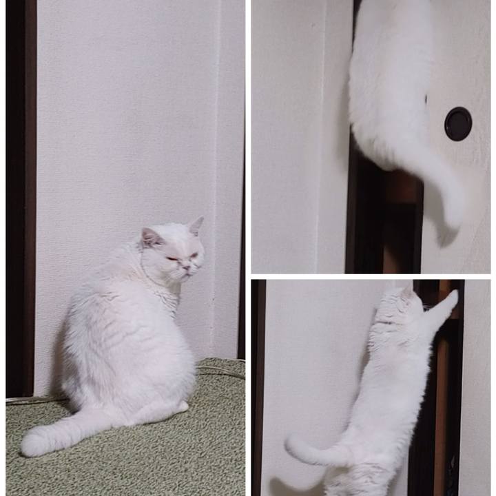 629a17cd d584 4db4 85aa 1f872ac59340 1633863258547