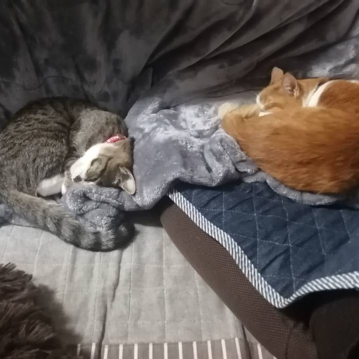 629a62f8 06ca 4c9b a502 2a39ee39ef3d 1669468901059