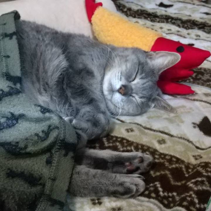 629a7954 c4e0 40de affa 1b59f6299cf8 1678107937413