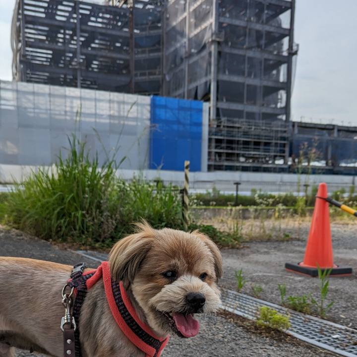 629a7b29 4000 47e2 adc9 643c189cbc2c 1687081553623