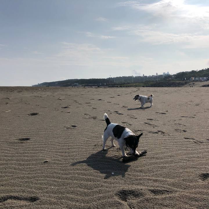 629a7ebf fa1f 4891 ae05 6ce828bca987 1566691182098