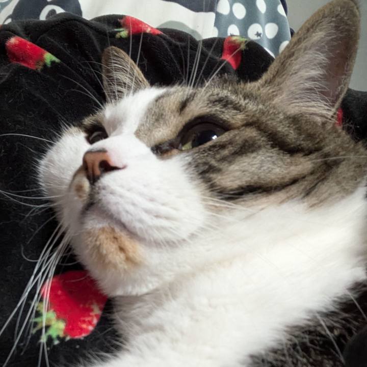 629a8a7c a188 4b5a b411 4115b2387a57 1748783171996