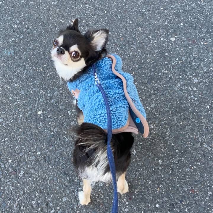 629a90f8 3310 42c8 aa33 f95453cb76b5 1674313142831