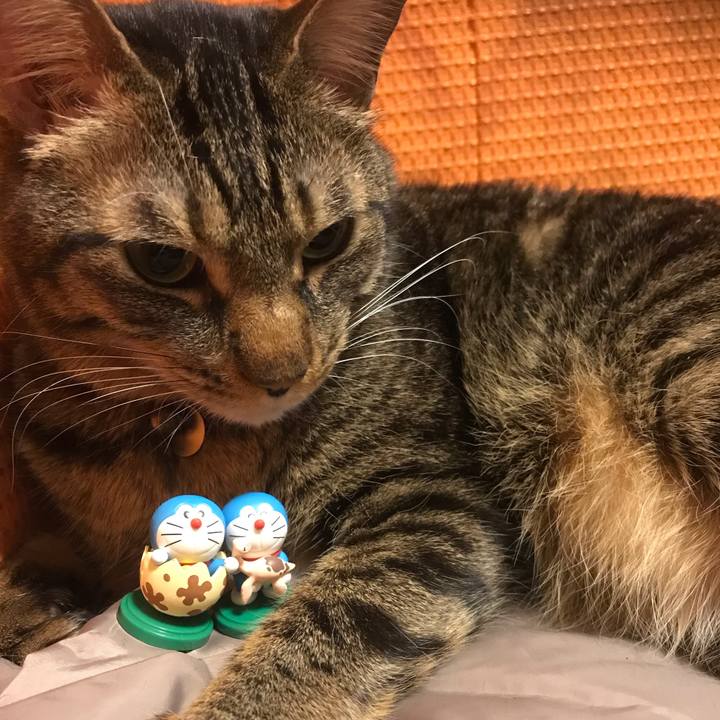 629aab51 b5f9 470d 846b a2a4677af911 1611494305888