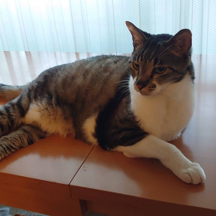 629ad98c e18d 4b5d 9627 14cda9732201 1718423056238