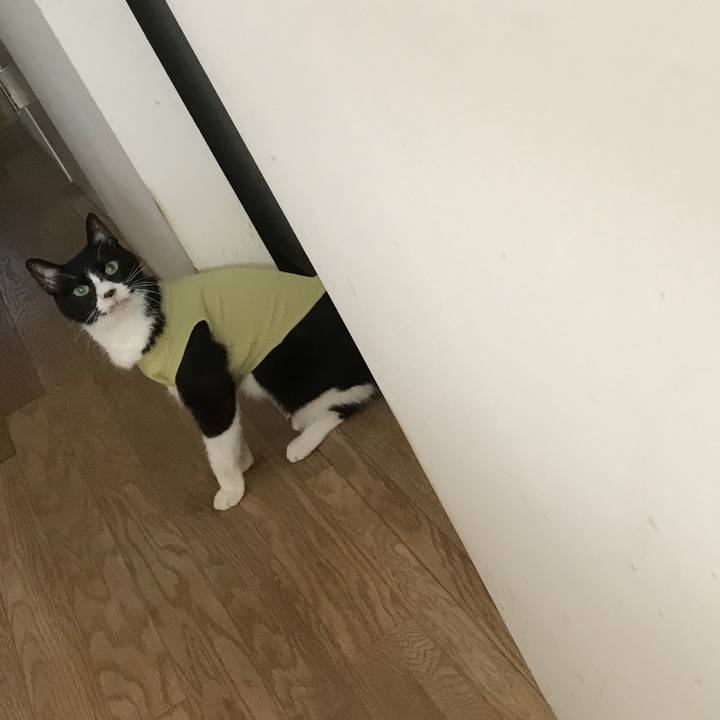 629afda9 3c3b 451a 9907 65e2000b39f7 1539758946458