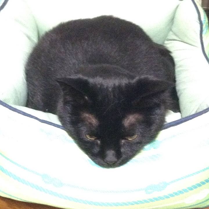 629b11e9 bdd3 4585 ad37 478adf400b28 1526731457190