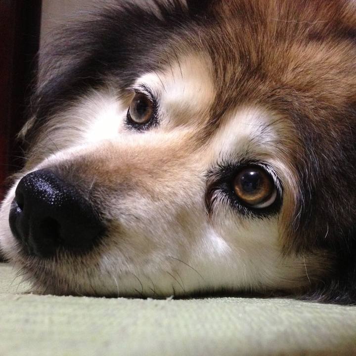 629b6719 7206 4b34 b447 45ce6bb1d10c 1551088541990