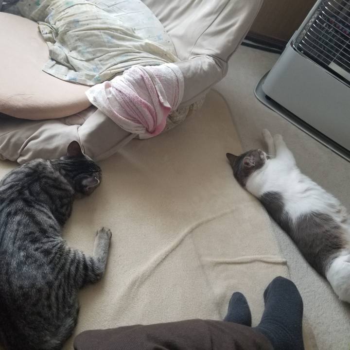 629b6dd4 a239 4b33 8f86 a06aa95c397e 1674568725157