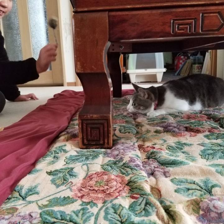 629bd34e 7d81 4a9a 8e8e e8b7ec95d1d8 1589455954070