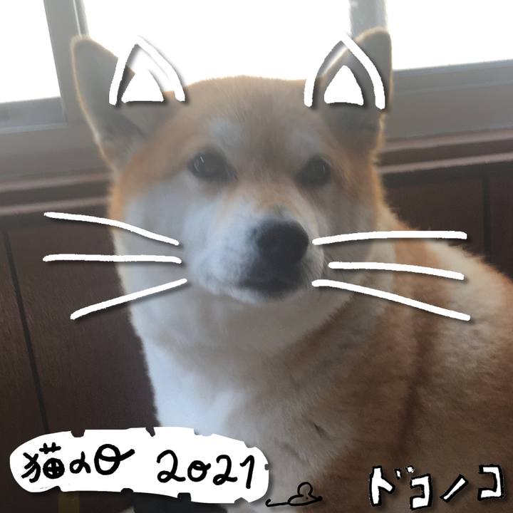 629c3739 ddf5 467d 93e4 7a6d7c9817d5 1613960331516