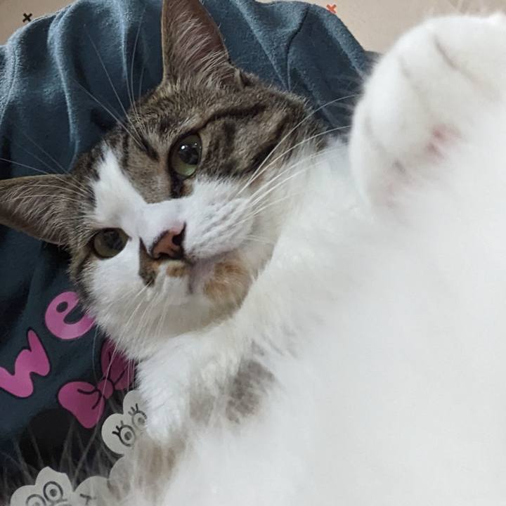 629c38b4 8f76 4100 a0c9 cc685da90bb8 1683029029476