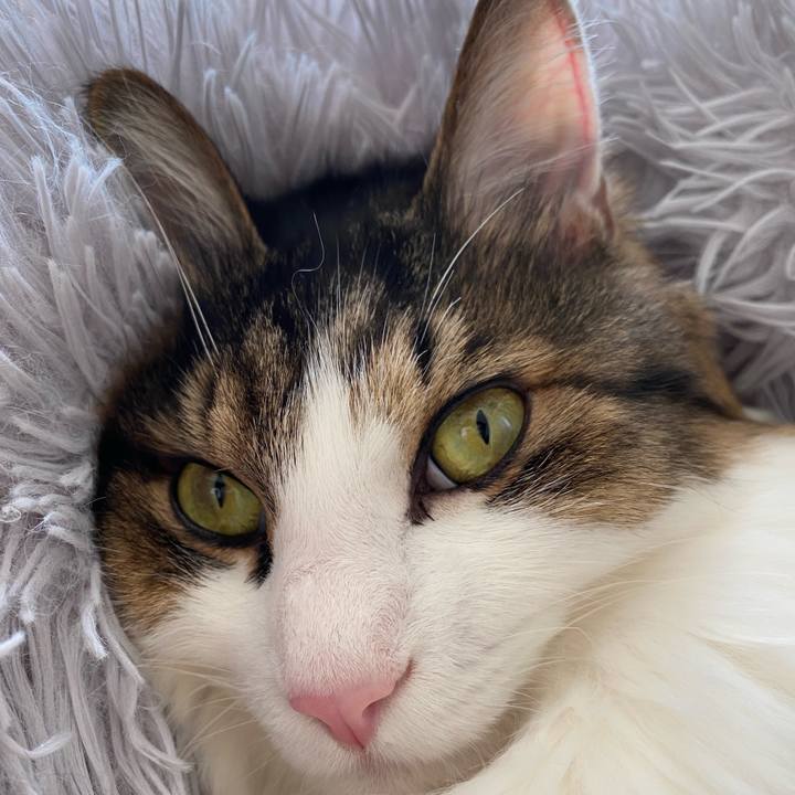 629c53cb 1761 402f bd93 137d0014748f 1666911637660