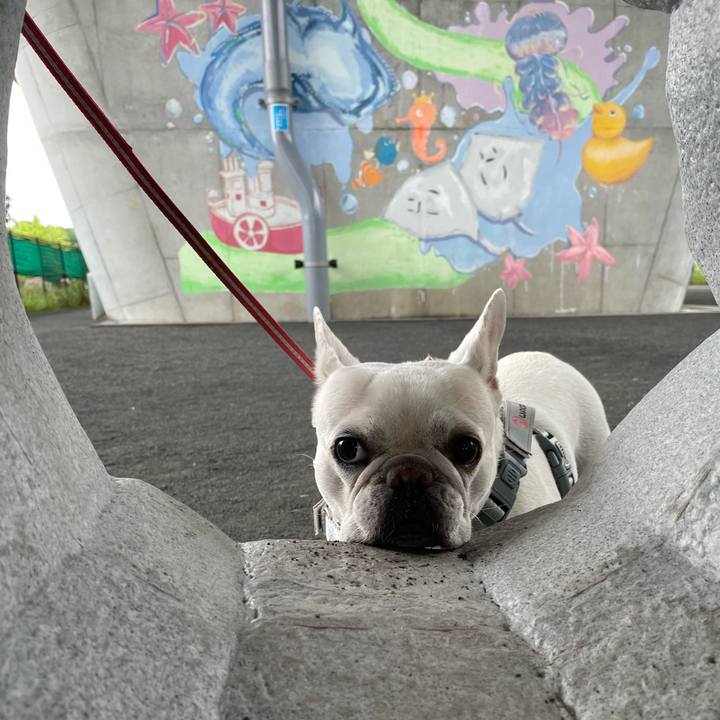 629c698f 01f7 4e2a b3c6 d0525c8db13c 1749597432266