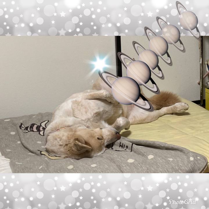 629c6e4a a897 47b0 968d 705321f646f2 1547216919149