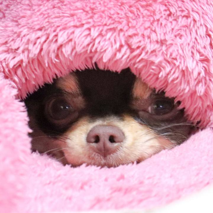 629c83fa e750 4f8e 9c88 b40358555a72 1772665985395