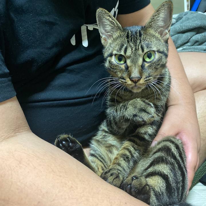 629cb670 d519 4720 a676 9394192c15c5 1572792010418