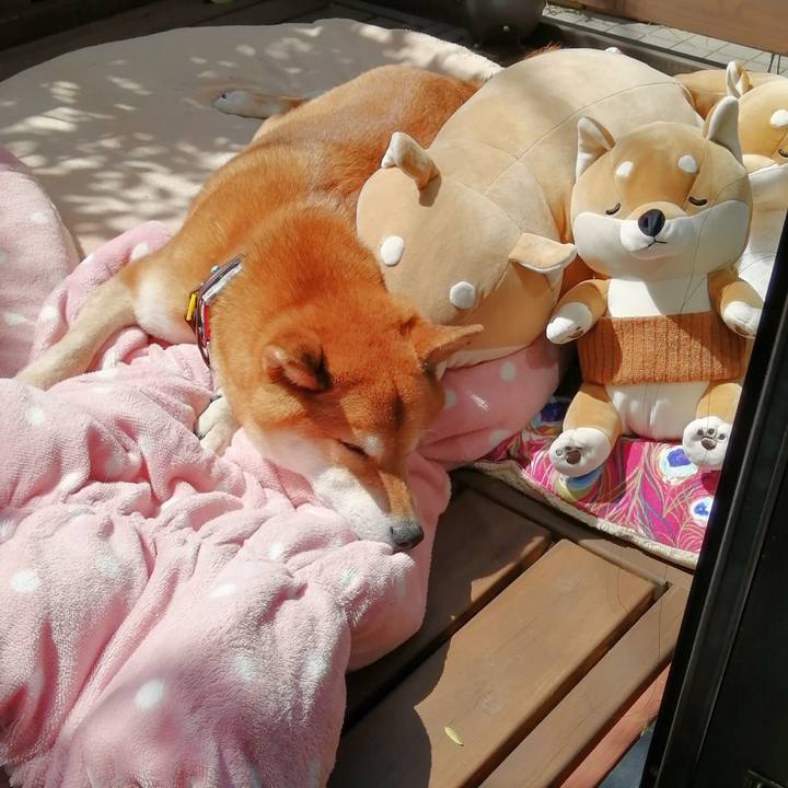 629cb7a0 623b 4e28 a80a 6c99556efd4d 1648863763720