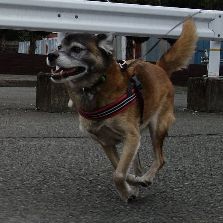 629cc340 ff08 4e62 9581 7f79c76e6723 1511078131510