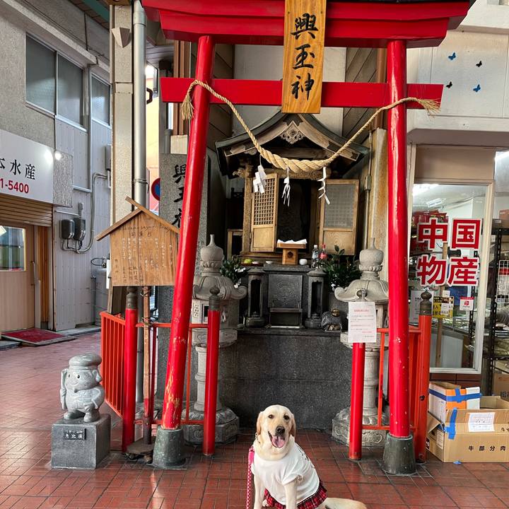 629cc858 9f03 4fea b76b ef68113db6d2 1664517927207