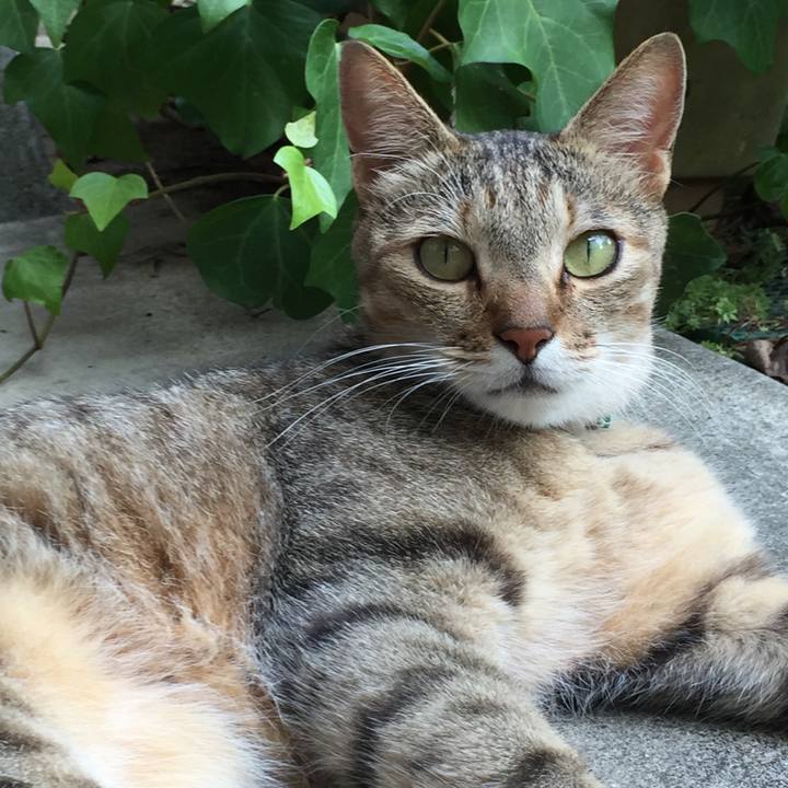 629d0a55 264c 4fb6 8011 c2deebc5f355 1534317430949