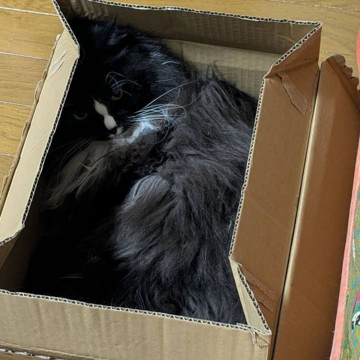 629d0d41 ab0d 4d99 8c7b c88e8b4ce7c2 1729635775425