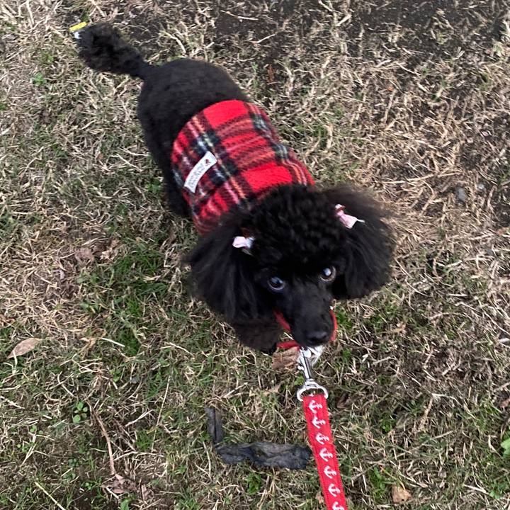 629d125e e9fa 4a71 a377 0ae16e9ddd9a 1604828877392