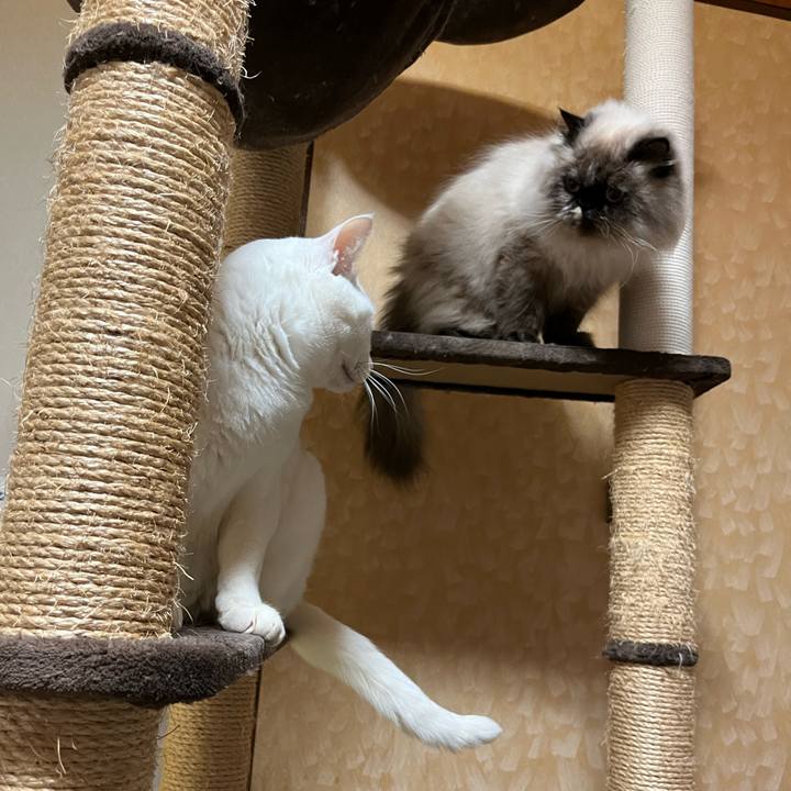 629d3404 36b9 4558 9264 732c7f954e99 1672635440263