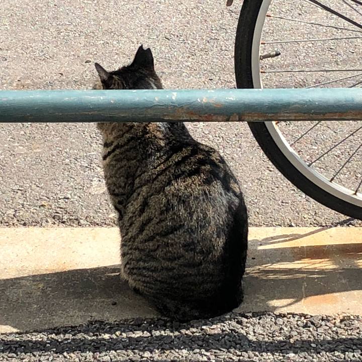 629d6ac2 2967 4964 9f84 2cba86f437f5 1519822268235