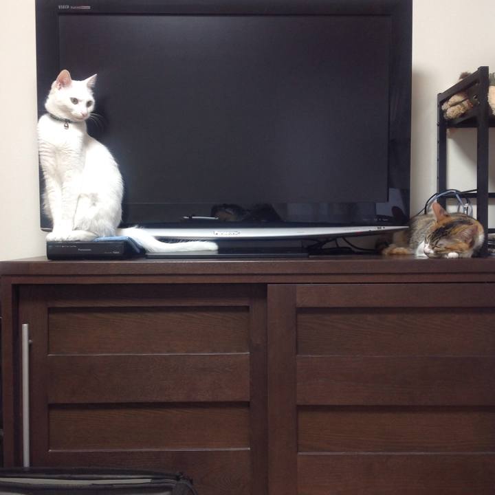 629d739c 3211 48fb 95e1 985b646f7904 1642029743582