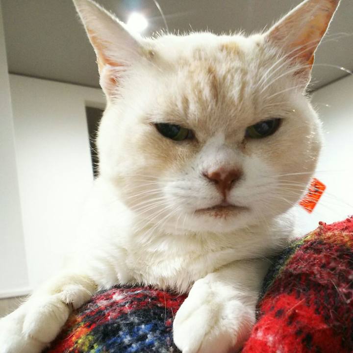 629d90e1 a6f1 41a3 b0c0 738bcdf23a08 1553686914682