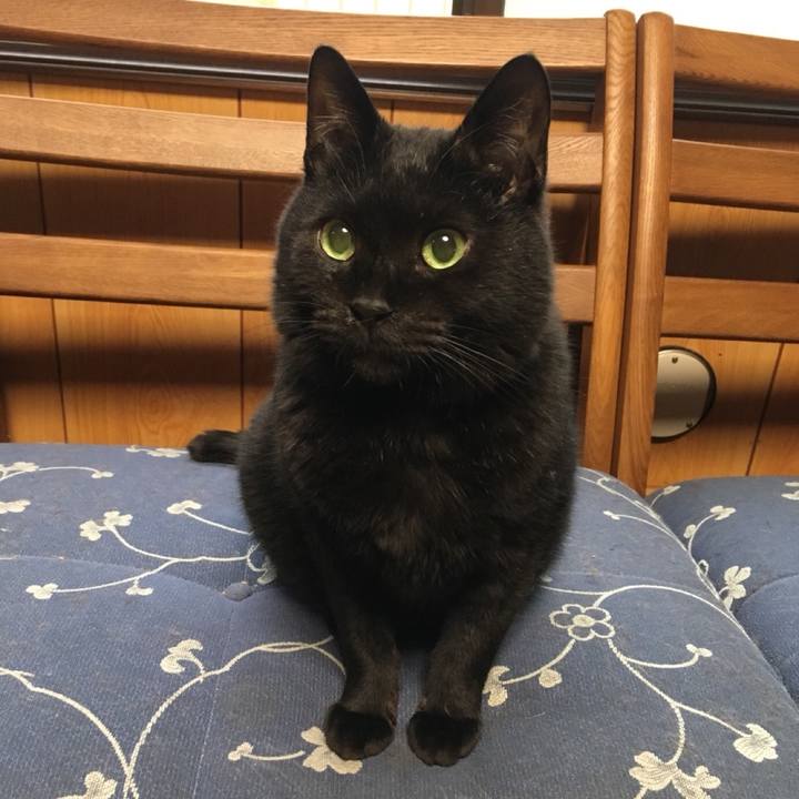 629dad15 d626 4c4e 8997 bcd5744c642b 1561238217795