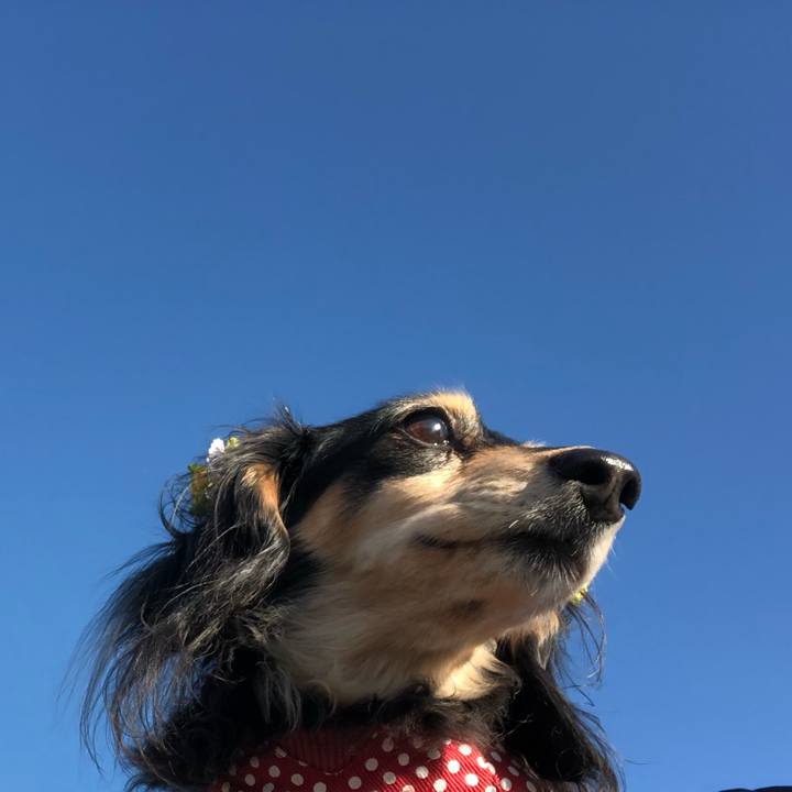 629db1c5 77e1 4427 a3bc e3860e96db66 1552088725598