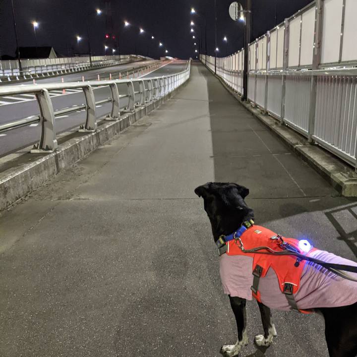 629db334 066b 44fb 8195 aeced41807f7 1706354460784