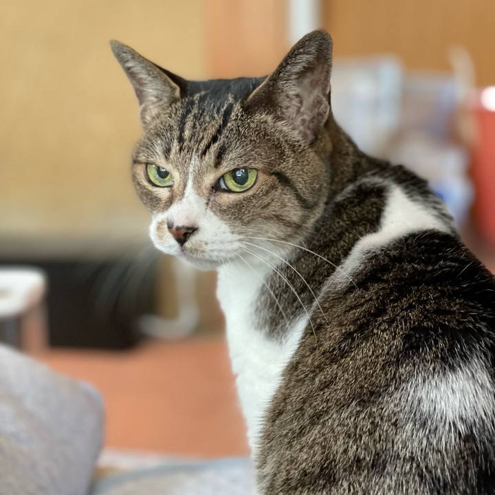 629de1f9 b872 4a8c a195 62bb4e3ff6db 1652840470789